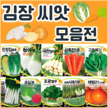 김장 채소 씨앗 모음 / 배추 무 당근 알타리 갓 엇갈이 양파 종자 씨, 45. 아카쟈키빨강당근 300립