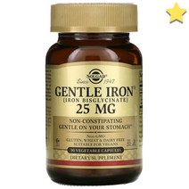 솔가 젠틀 아이언 25mg 베지 90캡슐, 1개, 기본