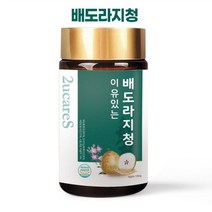 배도라지청 도라지청 백도라지 도라지액기스 (250g)X2, 2개
