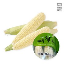 브랜드없음 [보섭이네푸드]군자농협 찐 삶은 괴산 대학 찰옥수수 10개(특품.상온.15cm내외), 단품없음
