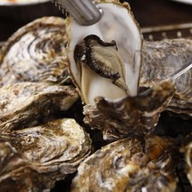 통영생굴 깐굴 500g 1kg 2kg 3kg 횟감 용 굴 생굴 석화 하프셀 삼배체, 3_1. 석화 ( 각굴 ) 5kg