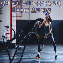 건강윤선생 홈트 전신 맨몸 코어 다이어트 운동 헬스 크로스핏 로프 배틀로프