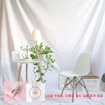 [생활모아] AniThing 개인 크리에이터 음식 제품 강의 촬영 스튜디오 배경천 컬러별 중대형 2.4x3M 2.4x4M 하나로 준비끝, 그레이2.4x3m