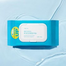 식물나라 제주탄산수퀵앤딥클렌징티슈 100매 (랜덤샘플증정)