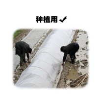 비닐 하우스 조립식 방풍 창문 바람막이 단열 우풍 외풍 차단 보온덮개 소규모 농업용 특수 필름 대형 축사용 백색 투명 두꺼운 2층 필름 보호 포장 필름, 흰색 3미터 너비 6 실크 두께 60