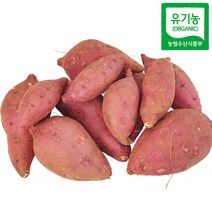 [유기농] 22년 해남 햇 밤고구마 (중상/상특) 3kg 포실포실 식감좋은 햇고구마, 해남고구마 (상특) 3kg