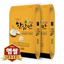 2022년산 햅쌀 국산 한입만 찹쌀 20kg (10kgx2봉), 단품