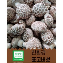 100% 산지직송 특품화고 생표고버섯 대용량표고버섯 급식용 양 많은 화고 표고버섯 고급형 (농장직배송) 화고 이유식 끝내주는 화고, 화고-1kg