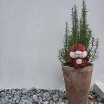 (우주라이크) 아기수달 몽구 인형