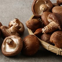 정남진장흥농협 장흥 생표고버섯 1kg, 1box