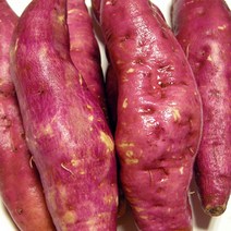 23년 첫수확 팍팍한 햇밤고구마 옵션중량 후회없는선택, 햇밤고구마3kg(한입/소/50~70g)