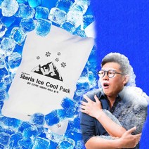(국산) 시베리아 휴대용 아이스 펀치 쿨팩 10개 세트 냉찜질 타박상 얼음팩 쿨패치 물 얼음 주머니 더웨이브스토어, 시베리아 라운드 아이스 쿨팩 10개
