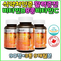 종합비타민 멀티비타민 비타민B1 비타민C 식약처인증 캐나다직수입 직구 홈쇼핑 생일 생신 비타민 B6 B12 나이아신 엽산 판토텐산 비오틴 영양제 선물 스승의날 부모님 효능 비교 면역력 피로개선 항산화 대용량