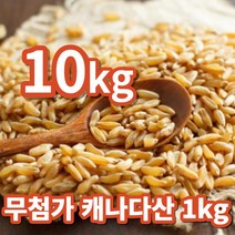 카무트쌀5kg 추천 TOP 50
