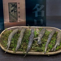 경성건강원 자연산 더덕 겨울 더덕주 요리 구이 장아찌 선물세트 더덕의효능 강원도 산지직송, 1세트, 300g 9~12뿌리
