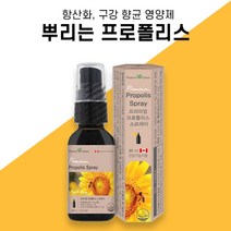 팜그린 프리미엄 프로폴리스 스프레이 30ml 1개월분, 30ml x 1개