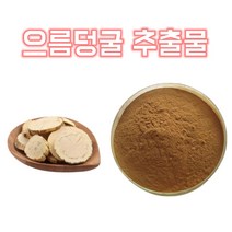 영진 으름덩굴 으름덩굴 분말 으름덩굴 가루 으름덩굴 추출물 농축 한방 차 건강분말, 20:1, 1봉, 200g