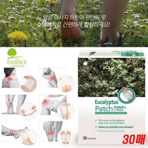 ESSENCE NATURE 온라인 판매점 유칼립투스 수액패치 힐링패치 발패치 목 어깨 손목 발목 발바닥 무릎 다용도 건강패치 10개입 30개입