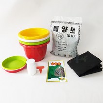 배추키우기 7종, 단품