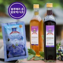 국내 유일 야생 블루베리로 만든 블루베리식초 발효액, 블루베리효소액500ml(2병), 2개