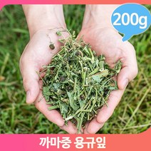 한방 약재 까마중 200g 용규잎 건강 피로회복 영양