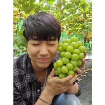 하랑 샤인머스켓 2kg 1등급 백화점 납품용 경산 농장 직송 무배, 1개