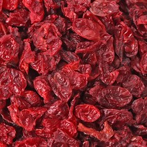 동의한재 특등급 씨없는 햇 구례 건산수유 말린산수유 500g, 단품