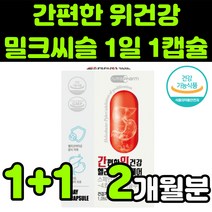 위건강 헬리코박터 케어 스페인감초 밀크씨슬 밀크시스 milk thistle 실리마린 silymarin complex 밀크티슬 밀크씨유 시리마린 추출물 130mg 이산화규소 없는, 2박스(2개월분)