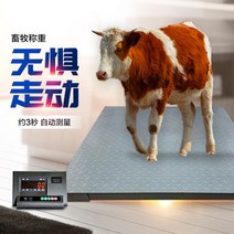 500키로 1톤 2톤 3톤 저울 농사용 지게차저울 공업용 톤백 용수철 크레인, 1mx1m 1-3톤