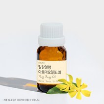 일랑일랑 아로마오일 에센셜오일 E.O 테라피, 1L