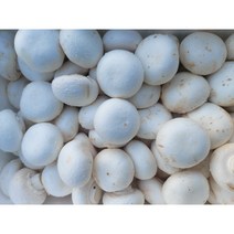 (국내산)무농약 양송이 버섯 500g