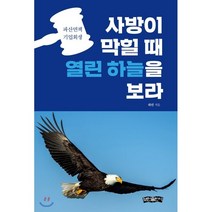 사방이 막힐 때 열린 하늘을 보라:파산면책 기업회생, 보민출판사, 하민 저