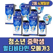 청소년 중학생 멀티비타민 무기질 오메가3 비타민D 비타민B6 비타민B1 비타민B2 피쉬오일 FISHOIL 종아리 다리 발 하지 온가족 불포화 지방산 고함량 알작은