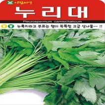 누리대 누룩치 산나물 씨앗 40립 뿌리원예