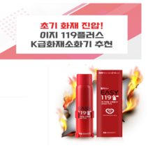 1+1 초기 진압용 가정용 차량용 주방용 소화기 이지119, 단독