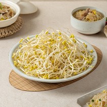 자연진리 천연암반수 아삭아삭 콩나물 1kg 2kg 4kg