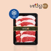 [농협안심한우] 1+등급 한우 차돌박이 600g, 600g (300gx2EA)