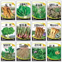 대포장 고들빼기씨앗 부추종자 더덕재배 해바라기씨앗 대파종자 곤드레씨 호박 강낭콩, 116 서리태 600g, 1개