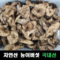 능이버섯 자연산 냉동 건조 국내산, 건조능이 50g, 1개
