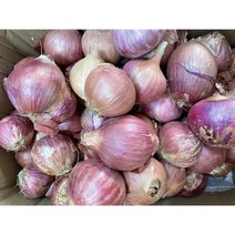 다원중국식품 중국양파 중국대파 작은양파 400g