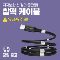 아미코 리버티라인 마그네틱 자석 찰떡 케이블 고속충전, 애플8핀(화이트)