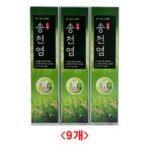 (디앤티)소금치약 미백치약 안티프라그 구취제거치약 불소치약 송염치약 3개입 X 3개