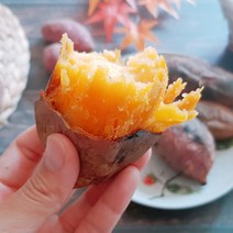 [2022수확] 꿀 떨어지는 해남 호박고구마 5kg (중), 단품