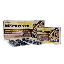네이쳐스그린웨이 프로폴리스 5000mg 120캡슐