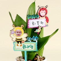 유치원 상가 학교 어린이집 학원 교회 돌봄 환경구성토퍼만들기 식물, 상세페이지 참조