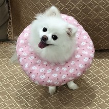 반려동물 푹신 경량 넥카라 넥쿠션, 아쿠아피쉬