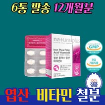 철분영보충 임산부 건강 식단 관리 영양제 약 1년분 대용량 고용량 10 20 30 40 50 대 남자 여자