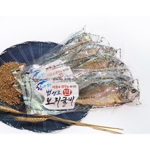 영광법성포 찐보리굴비 31cm 10미 가정용 비늘 내장제거 다시팩 녹차가루 증정 가락시장도매 힘바다 가락금호상회