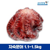 자숙문어 1100/1500g 필리핀 제수용 문어숙회 큰문어 삶은문어