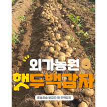 [외가농원] 포슬포슬 분감자 두백감자 햇감자, 5kg 특(+4000원), 1개